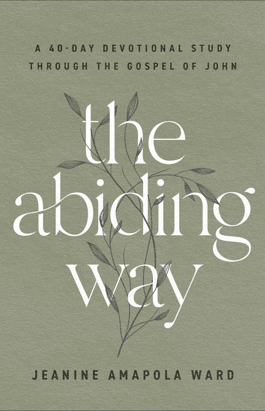 Cover image for The Abiding Way, isbn: 9780764241789