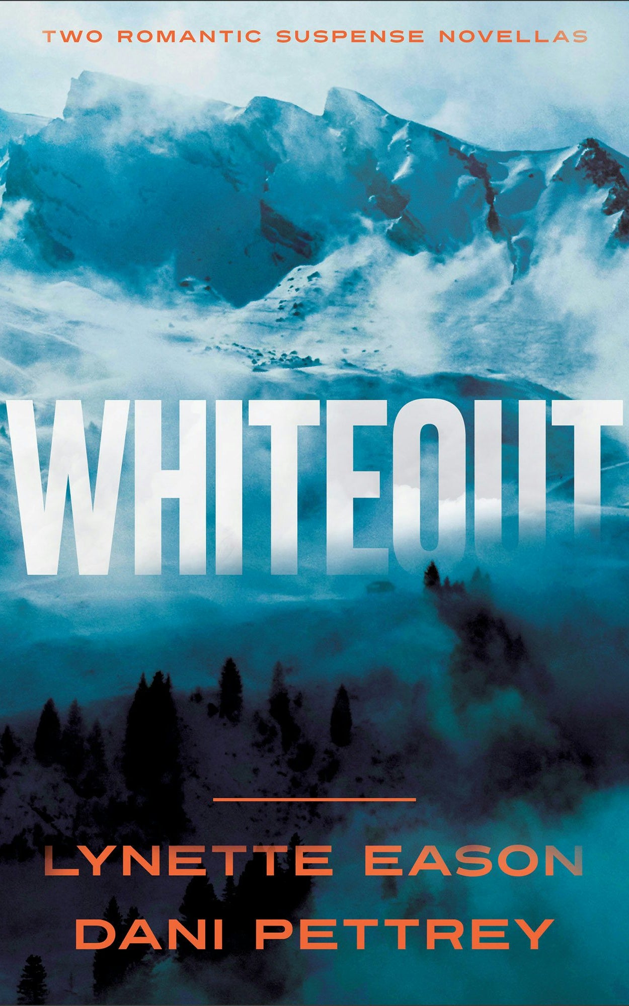 Cover image for Whiteout, isbn: 9780764245978