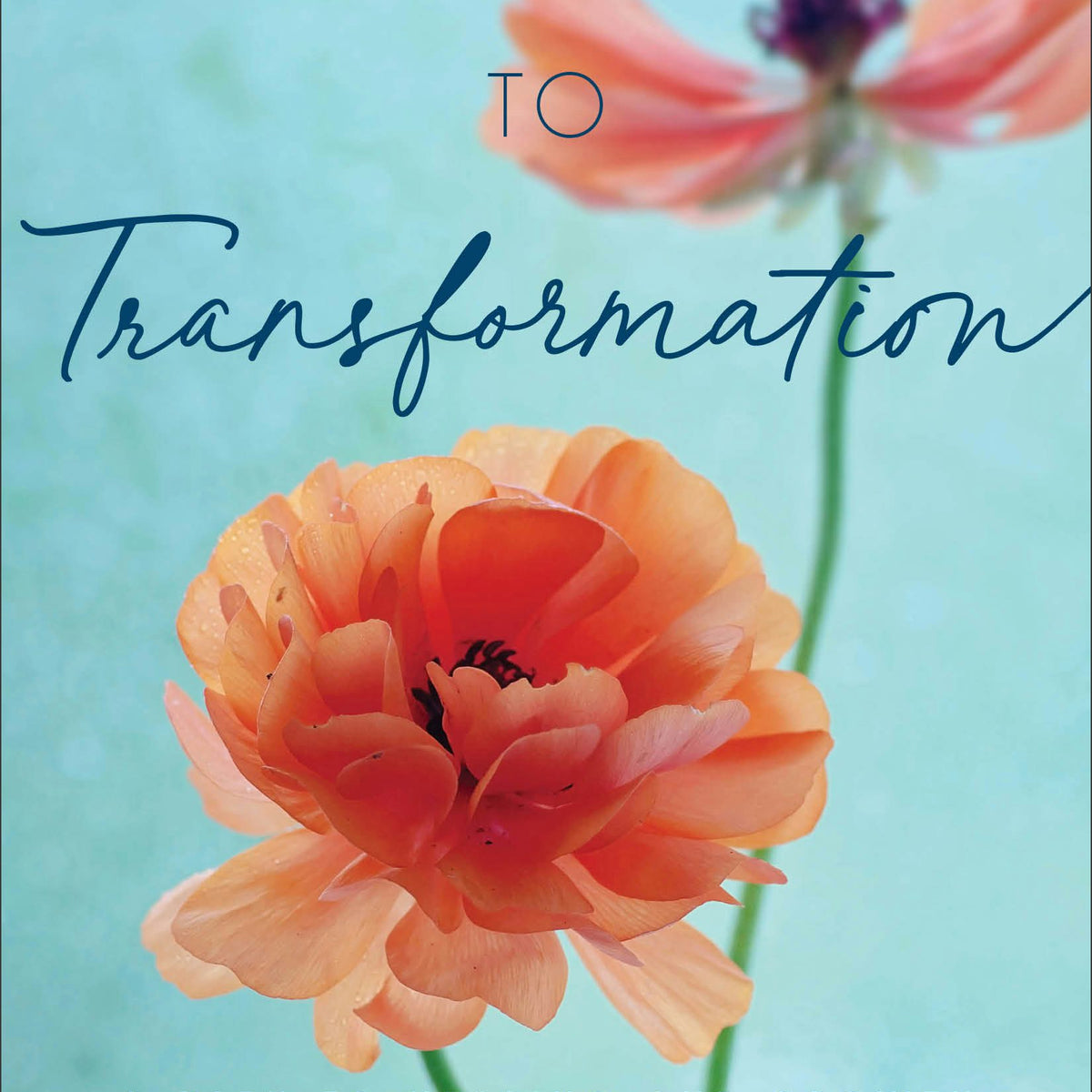 From Trauma to Transformation – Baker Publishing Group