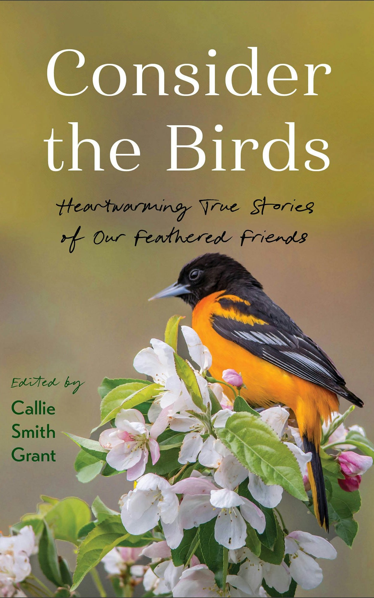 Cover image for Consider the Birds, isbn: 9780800740955