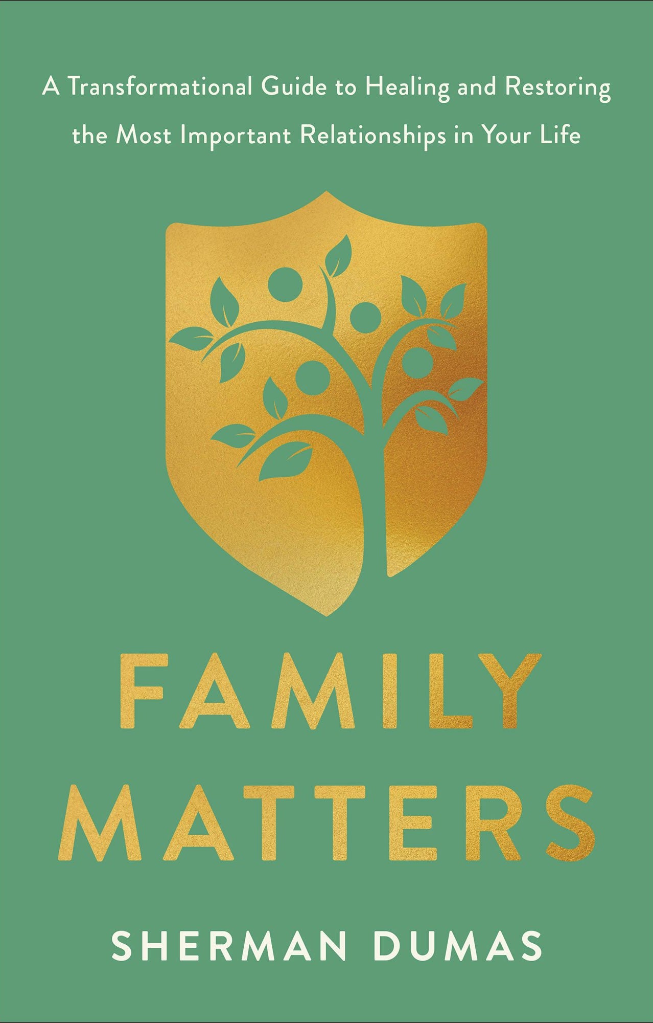 Cover image for Family Matters, isbn: 9780800773298