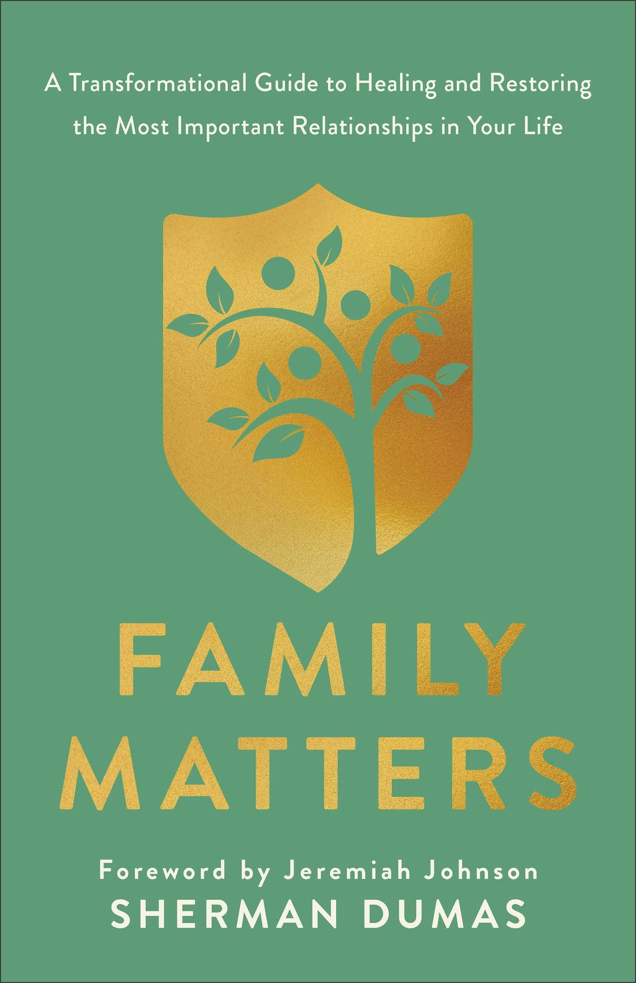 Cover image for Family Matters, isbn: 9780800773298