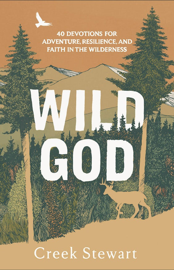 Cover image for Wild God, isbn: 9781540905710