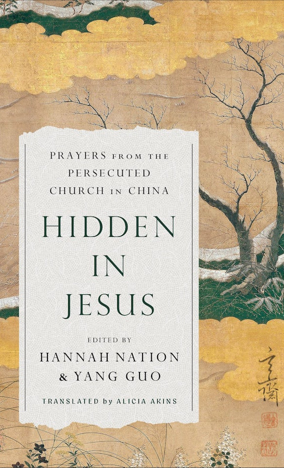 Cover image for Hidden in Jesus, isbn: 9781540905970
