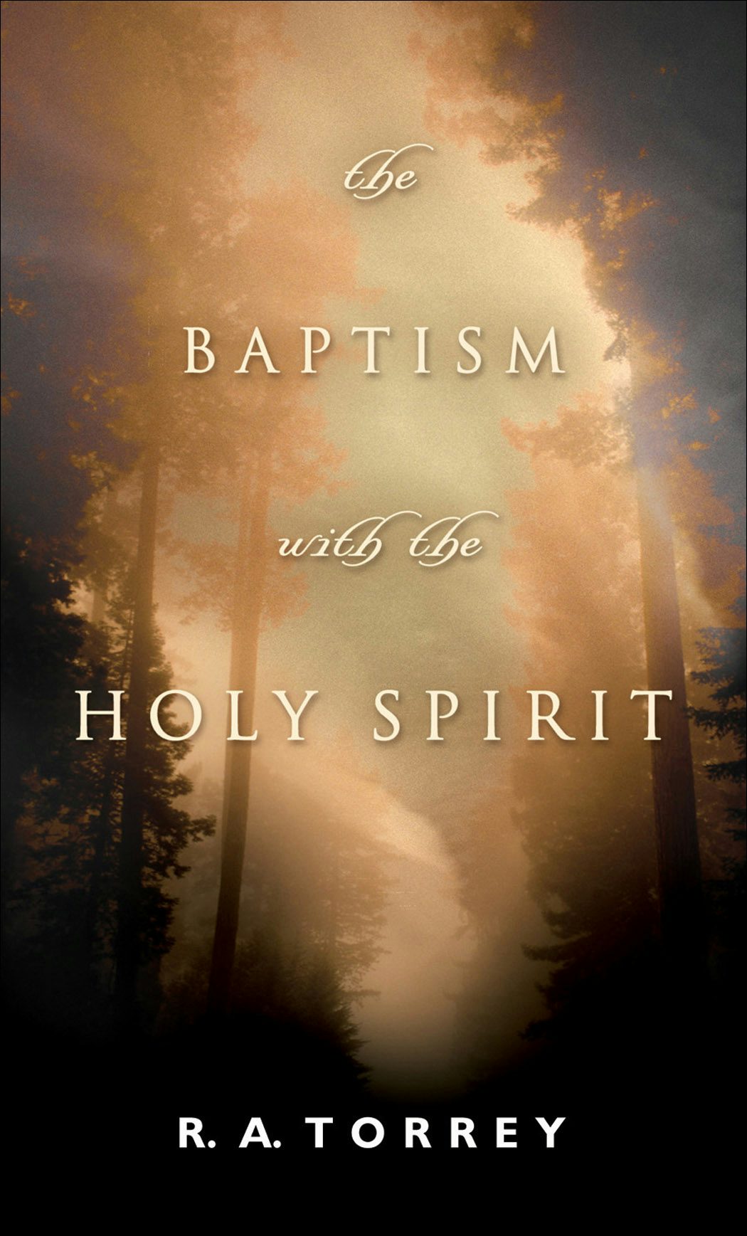 Cover image for The Baptism With the Holy Spirit, isbn: 9780764200199