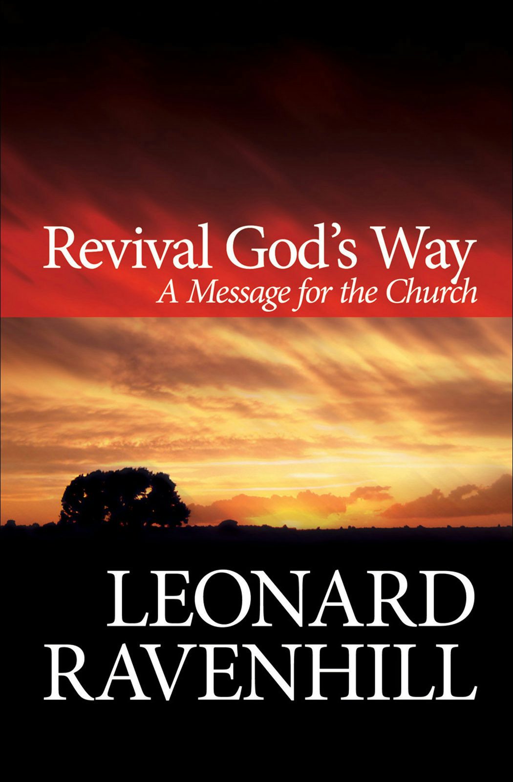Cover image for Revival God's Way, isbn: 9780764203022