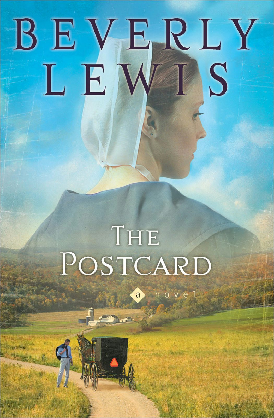Cover image for The Postcard, isbn: 9780764203404