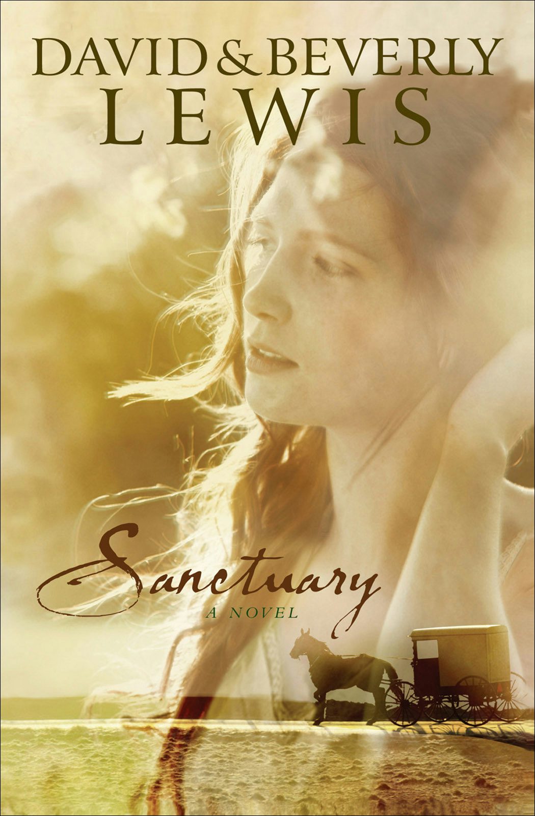 Cover image for Sanctuary, isbn: 9780764204043