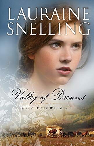 Cover image for Valley of Dreams, isbn: 9780764204159