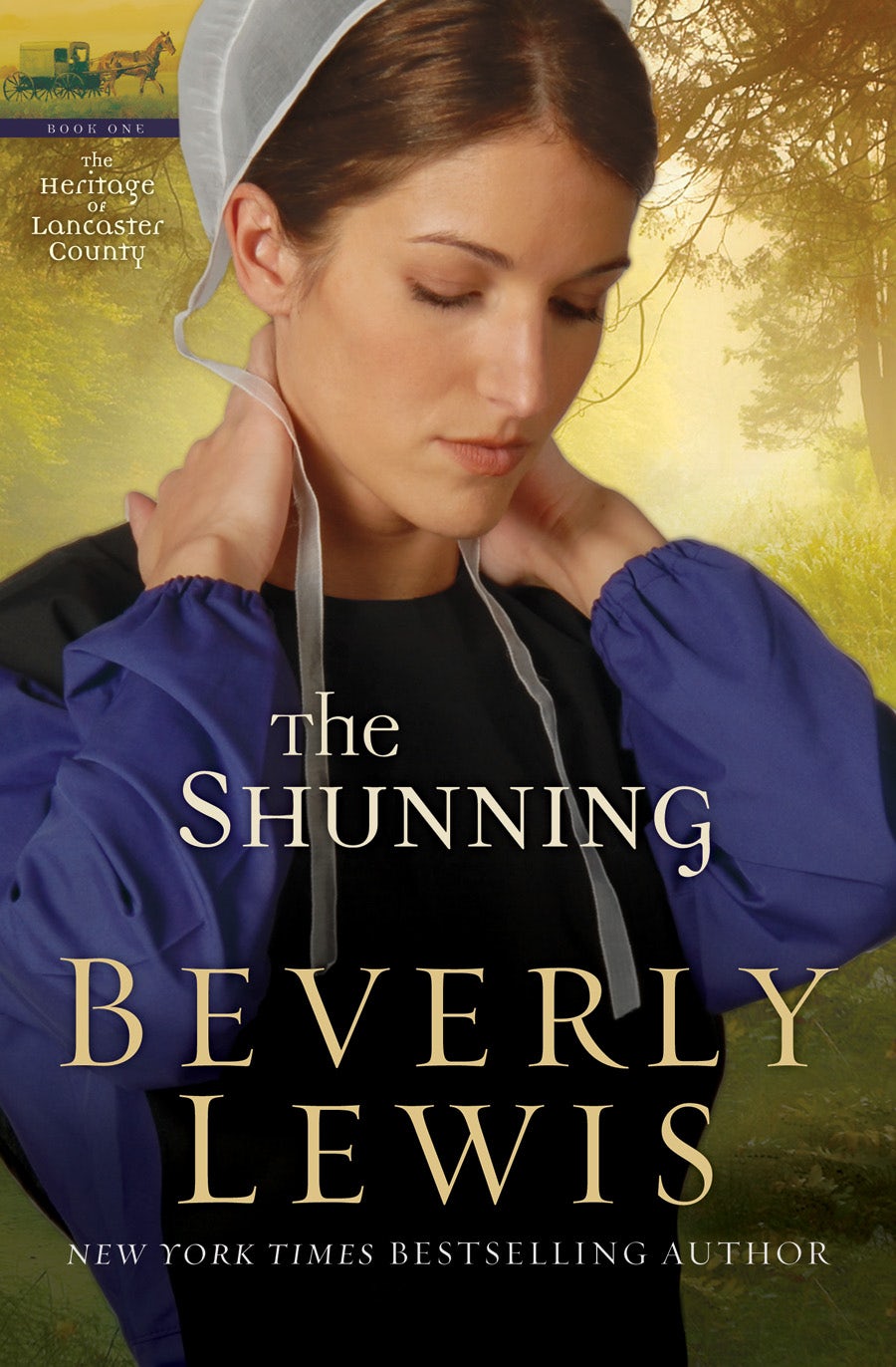 Cover image for The Shunning, isbn: 9780764204630