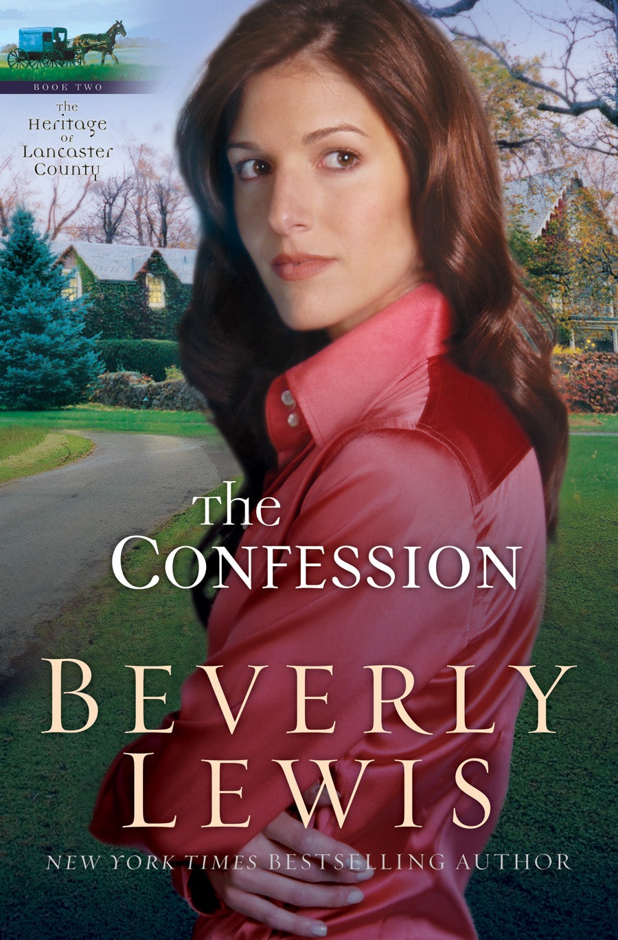 Cover image for The Confession, isbn: 9780764204647