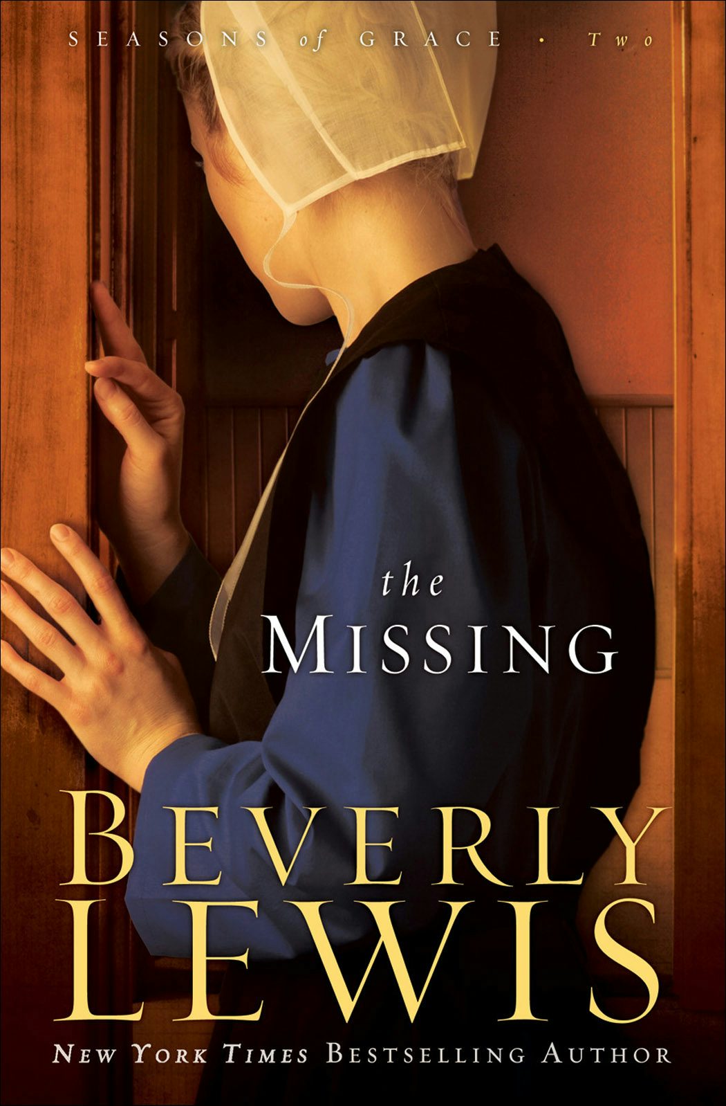 Cover image for The Missing, isbn: 9780764205729