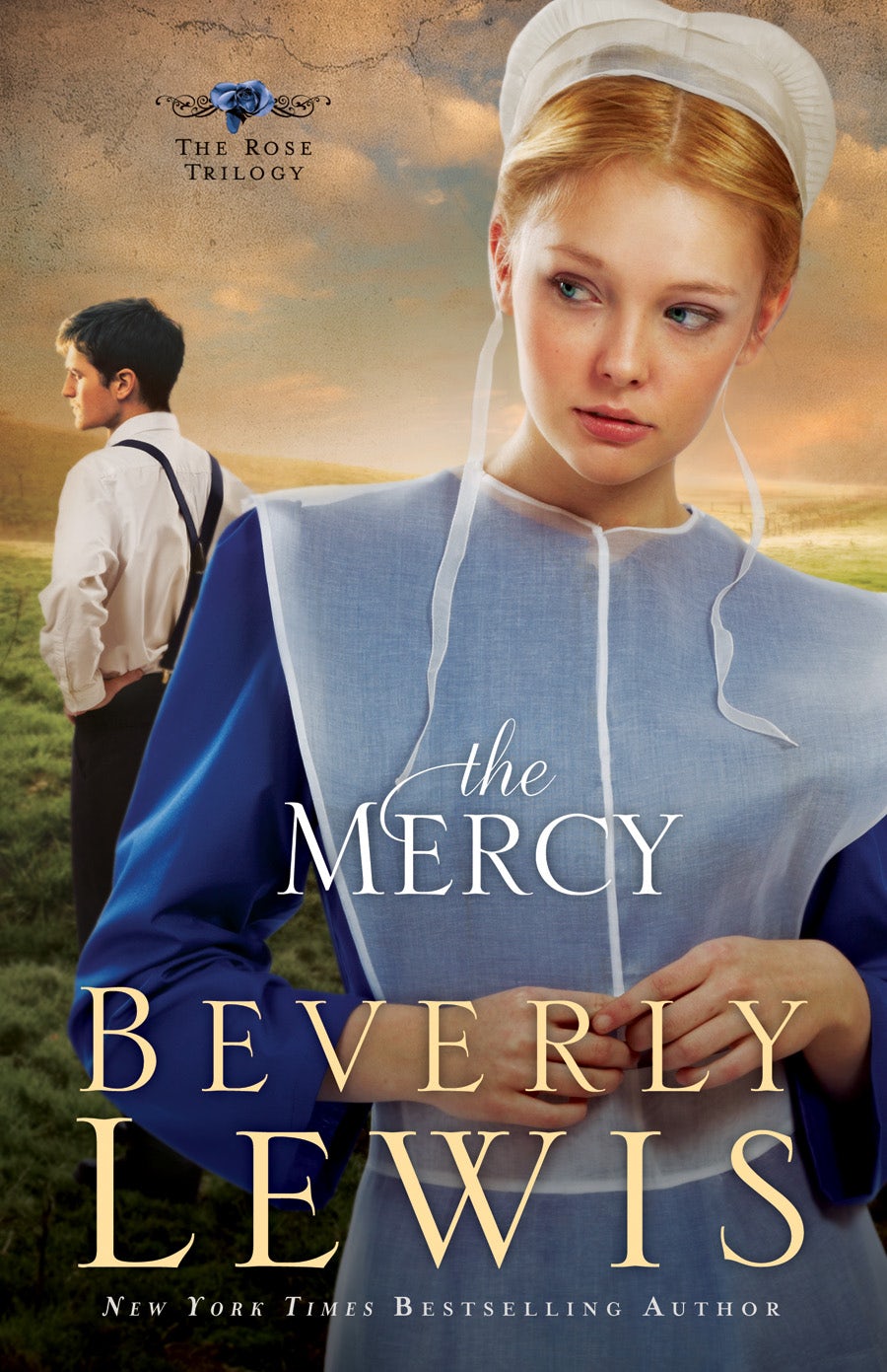 Cover image for The Mercy, isbn: 9780764206016
