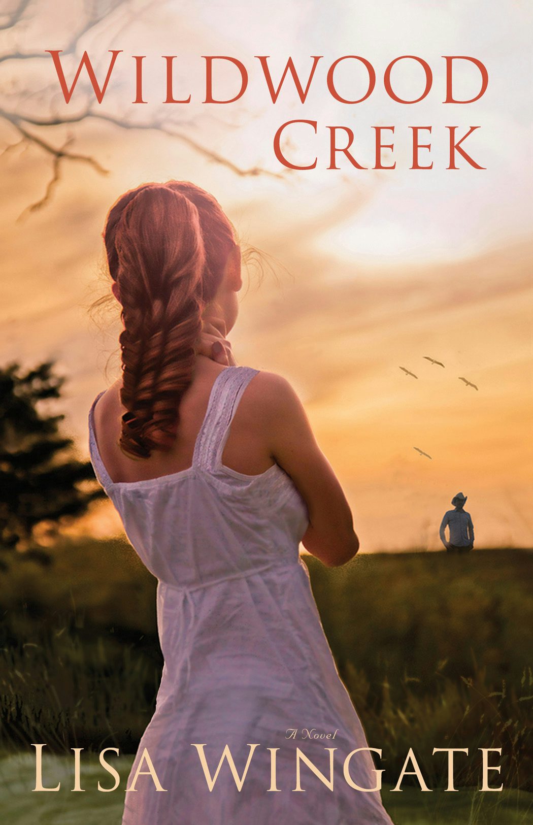 Cover image for Wildwood Creek, isbn: 9780764208249