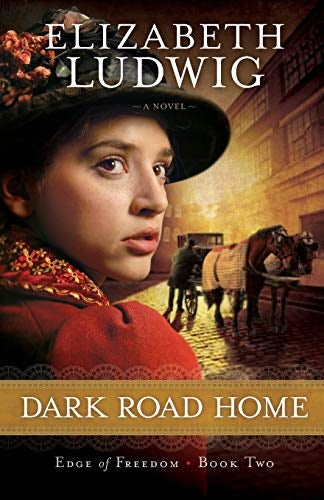 Cover image for Dark Road Home, isbn: 9780764210402