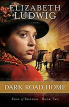 Cover image for Dark Road Home, isbn: 9780764210402