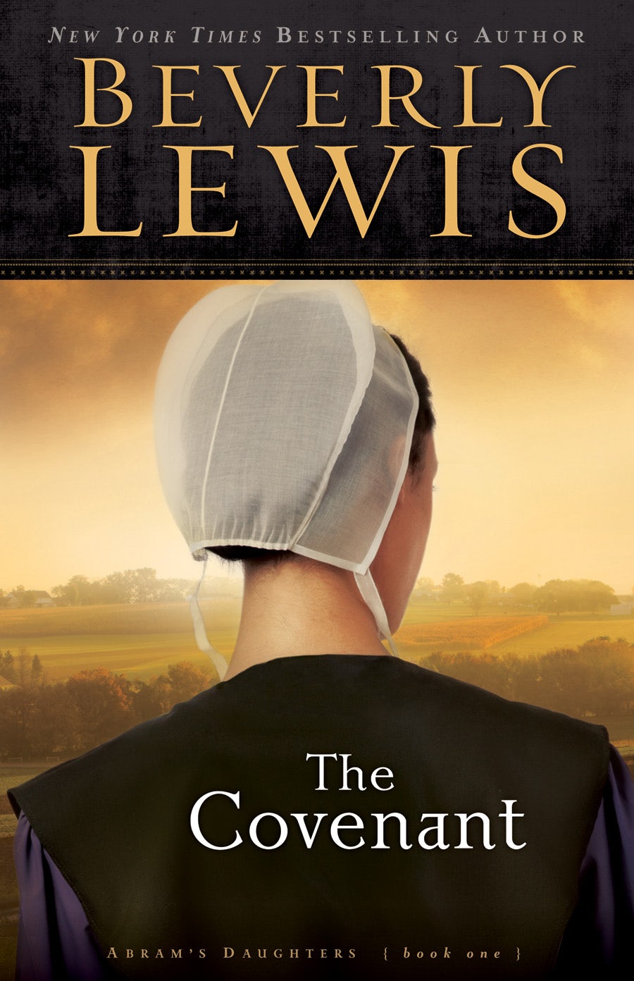 Cover image for The Covenant, isbn: 9780764210860
