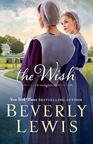 Cover image for The Wish, isbn: 9780764212499