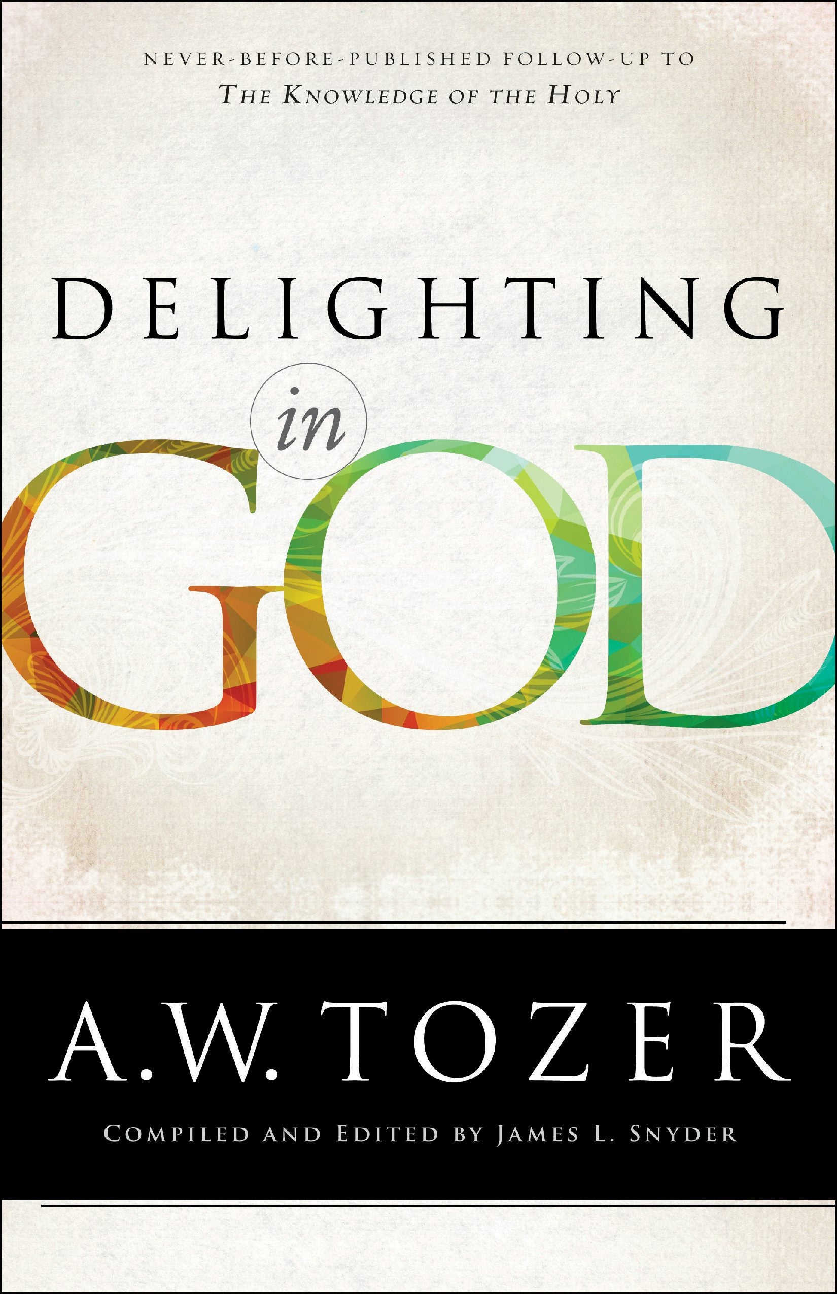 Cover image for Delighting in God, isbn: 9780764217012