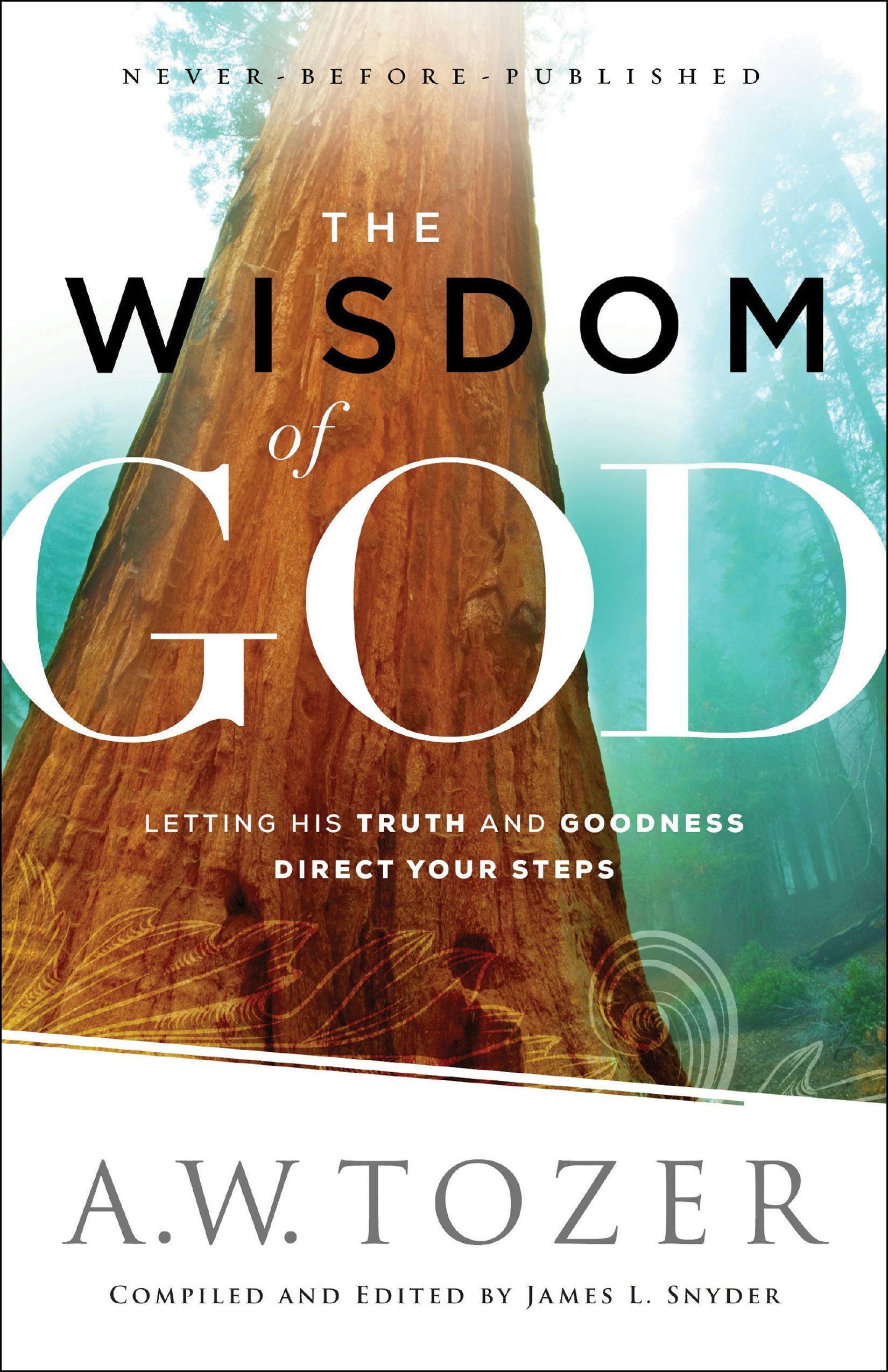 Cover image for The Wisdom of God, isbn: 9780764218088