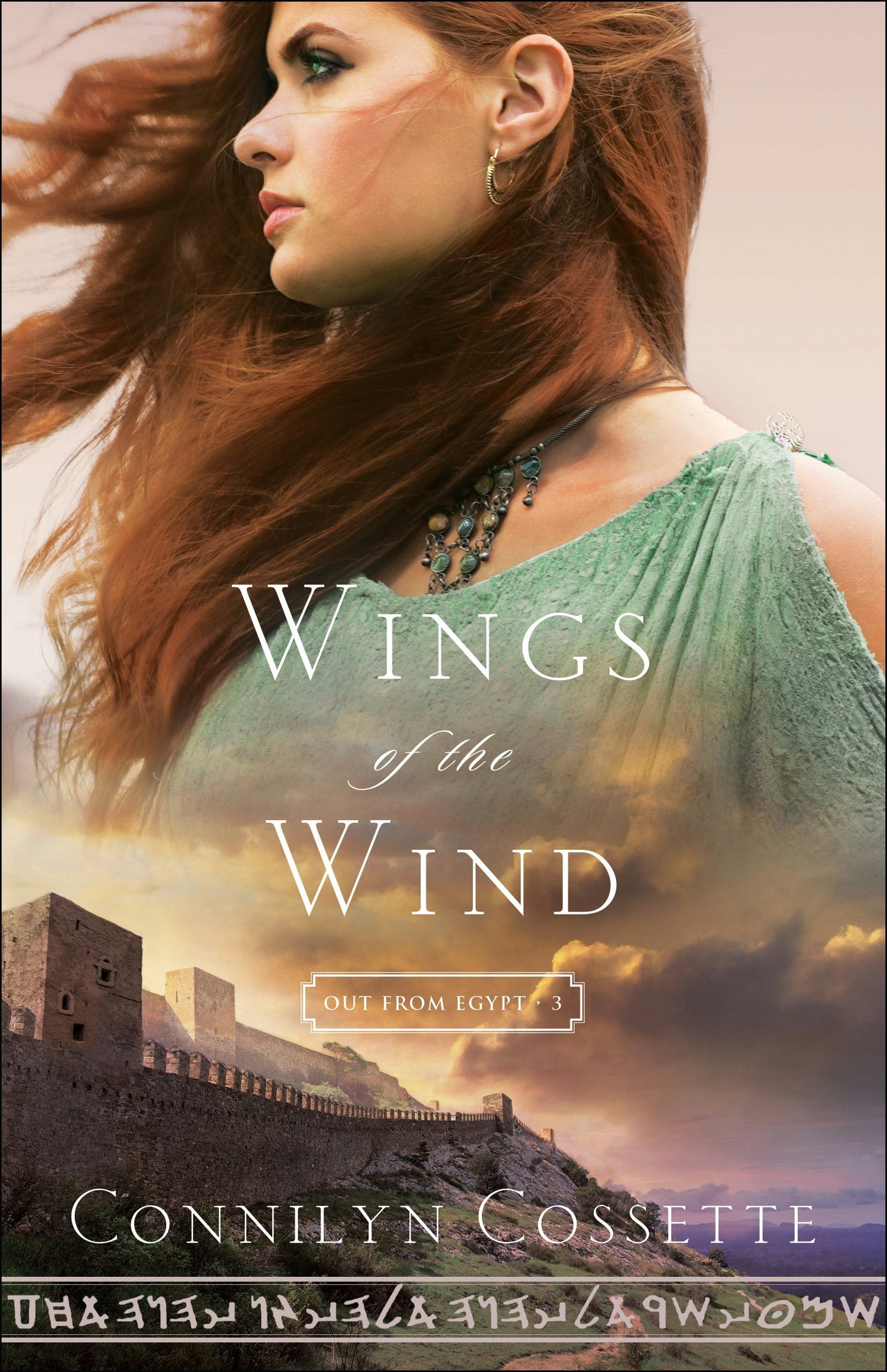 Cover image for Wings of the Wind, isbn: 9780764218224