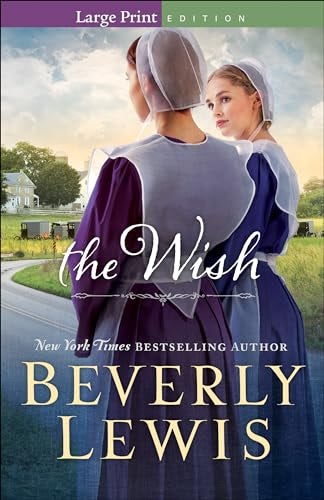 Cover image for The Wish, isbn: 9780764218903