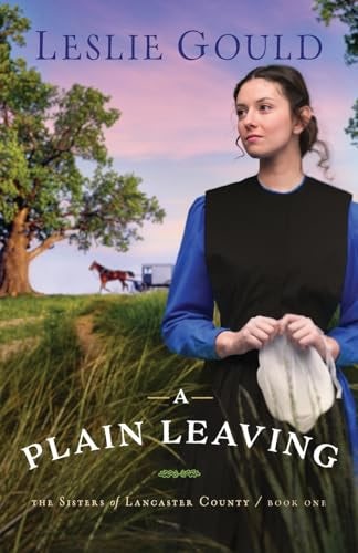 Cover image for A Plain Leaving, isbn: 9780764219696