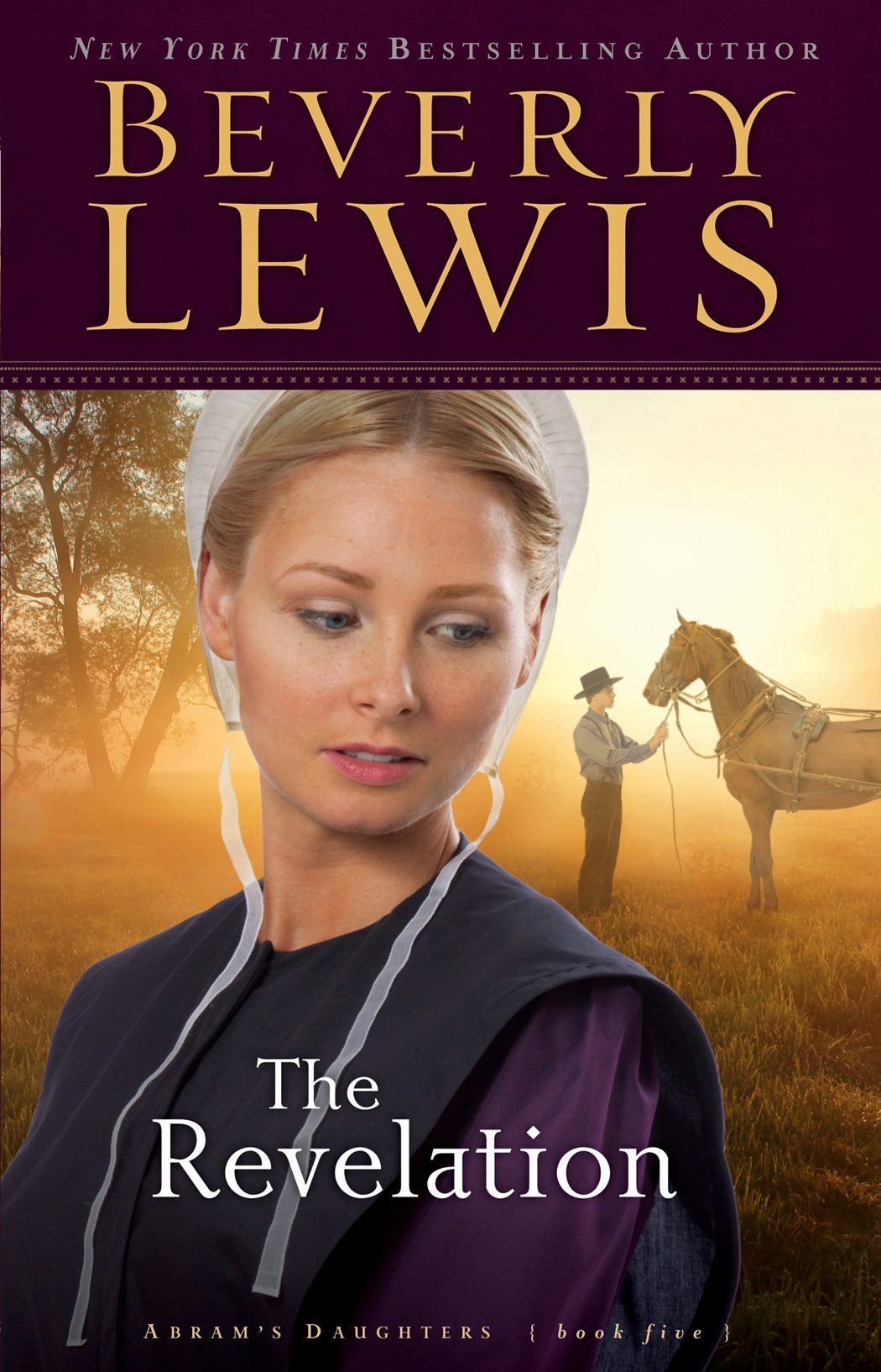 Cover image for The Revelation, isbn: 9780764228742