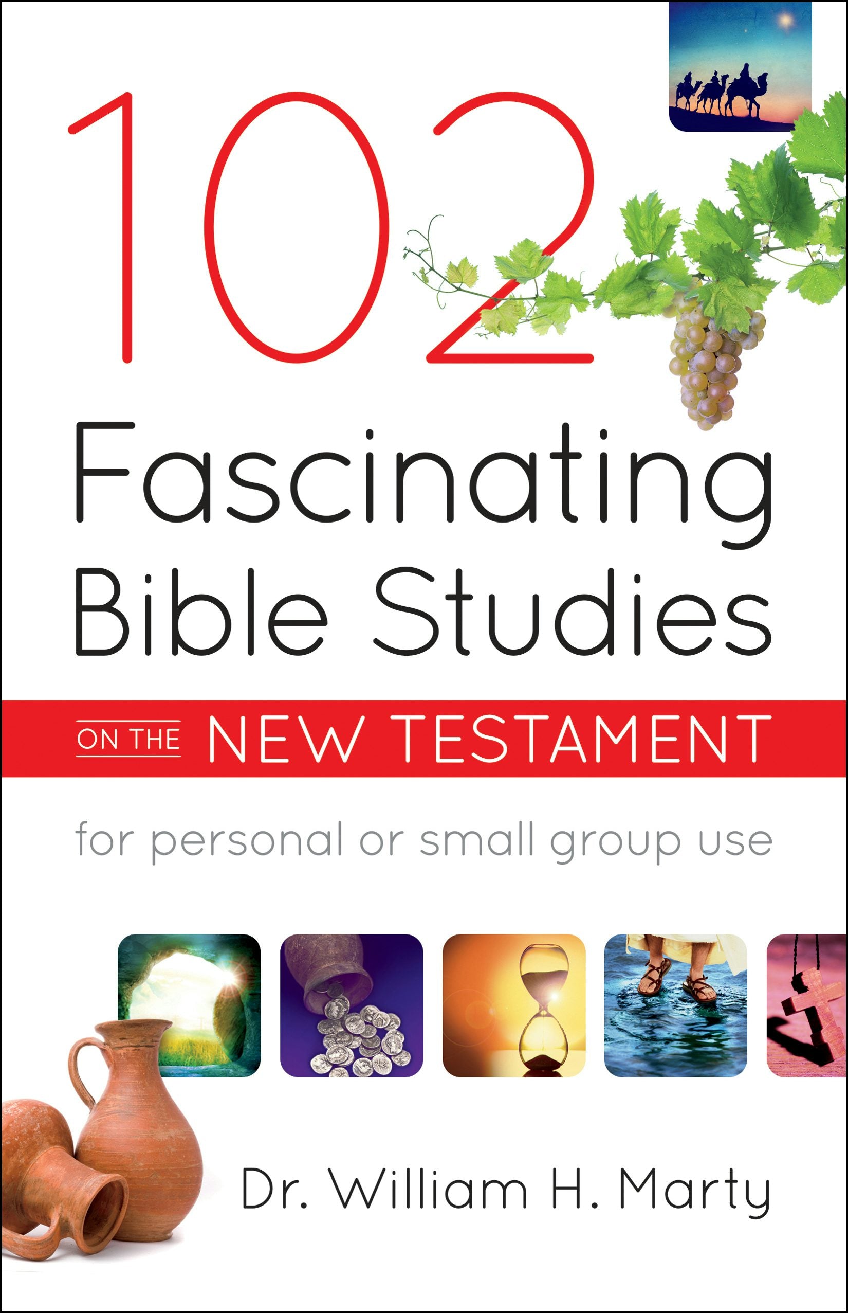 Cover image for 102 Fascinating Bible Studies on the New Testament, isbn: 9780764232435