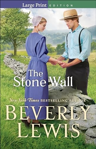 Cover image for The Stone Wall, isbn: 9780764233289