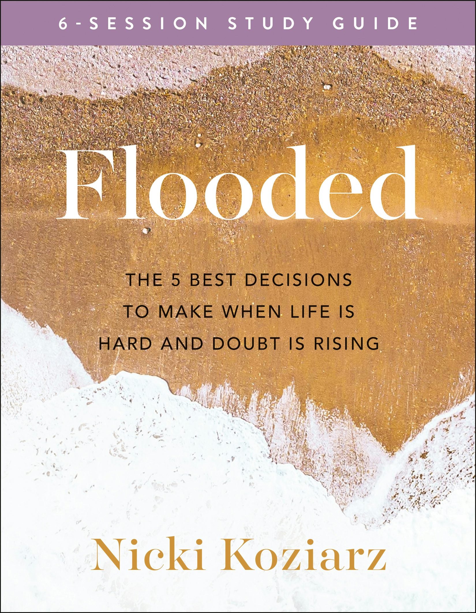Cover image for Flooded Study Guide, isbn: 9780764236488