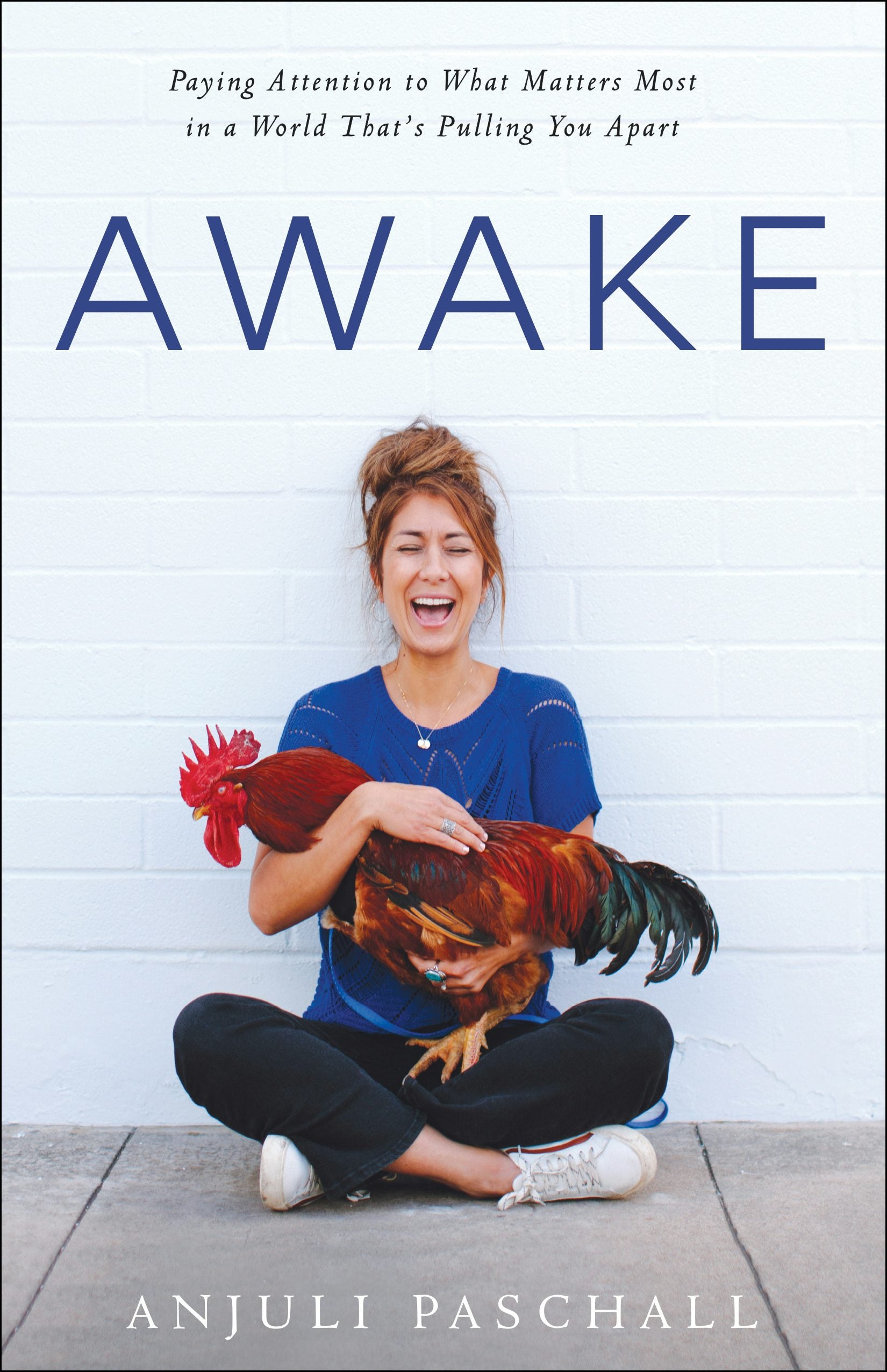 Cover image for Awake, isbn: 9780764238529
