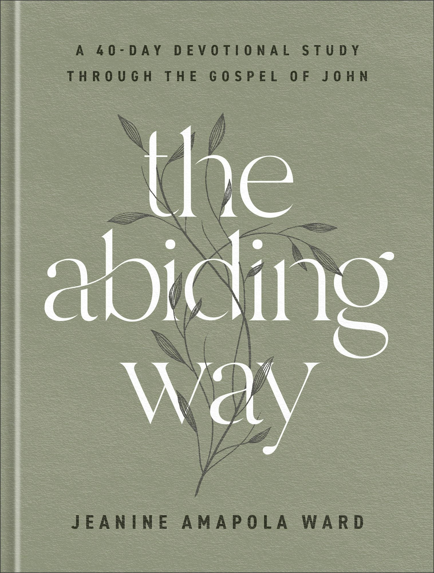 Cover image for The Abiding Way, isbn: 9780764241789