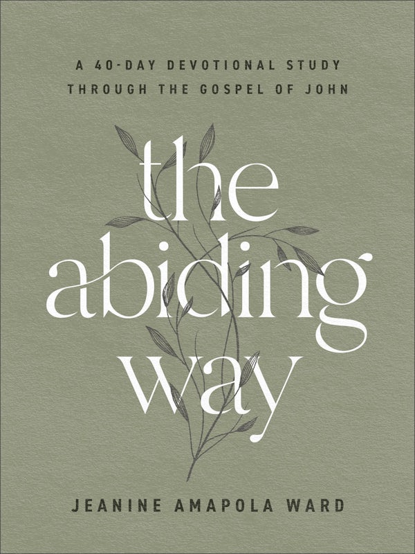 Cover image for The Abiding Way, isbn: 9780764241789