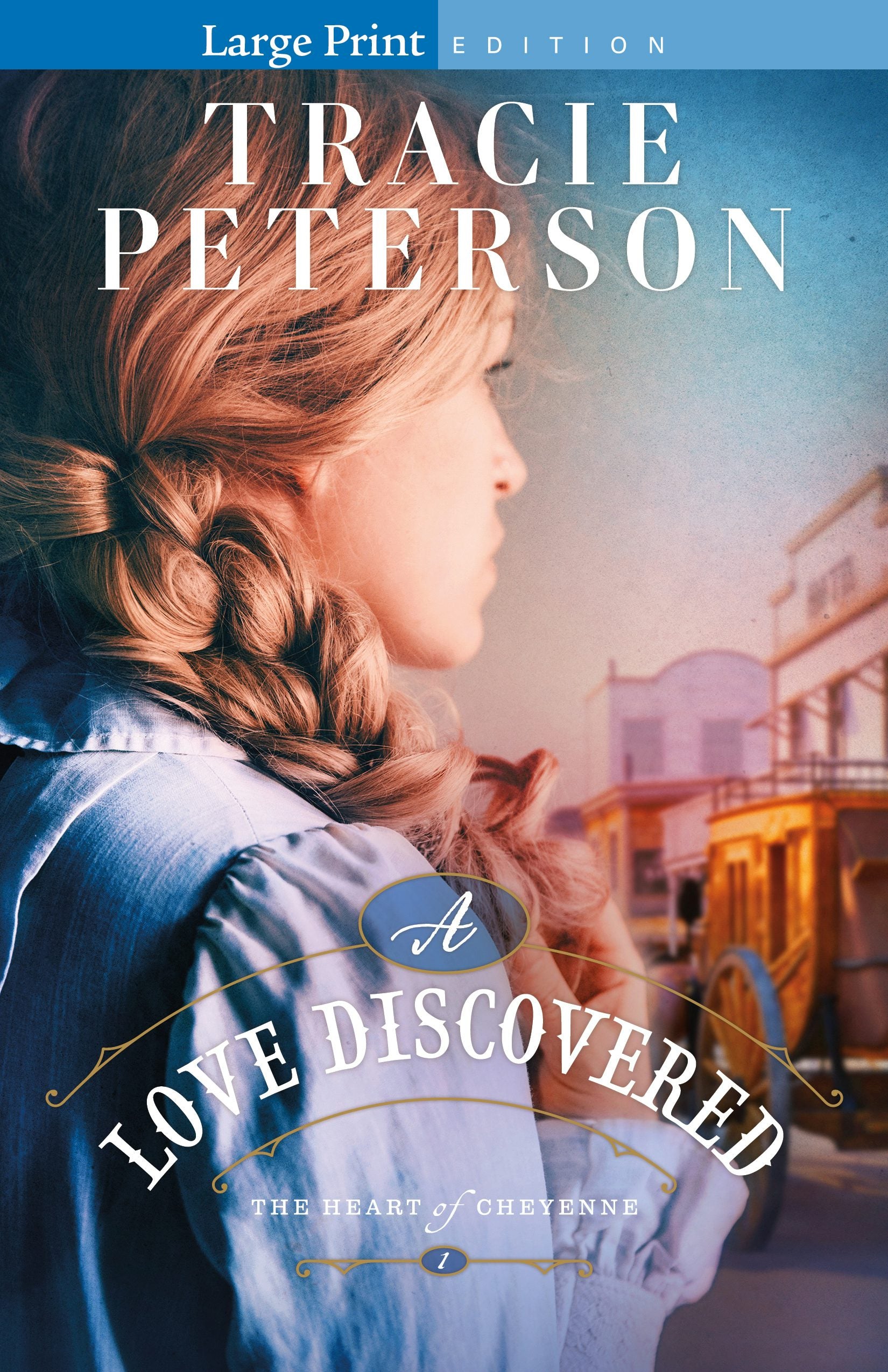Cover image for A Love Discovered, isbn: 9780764242700