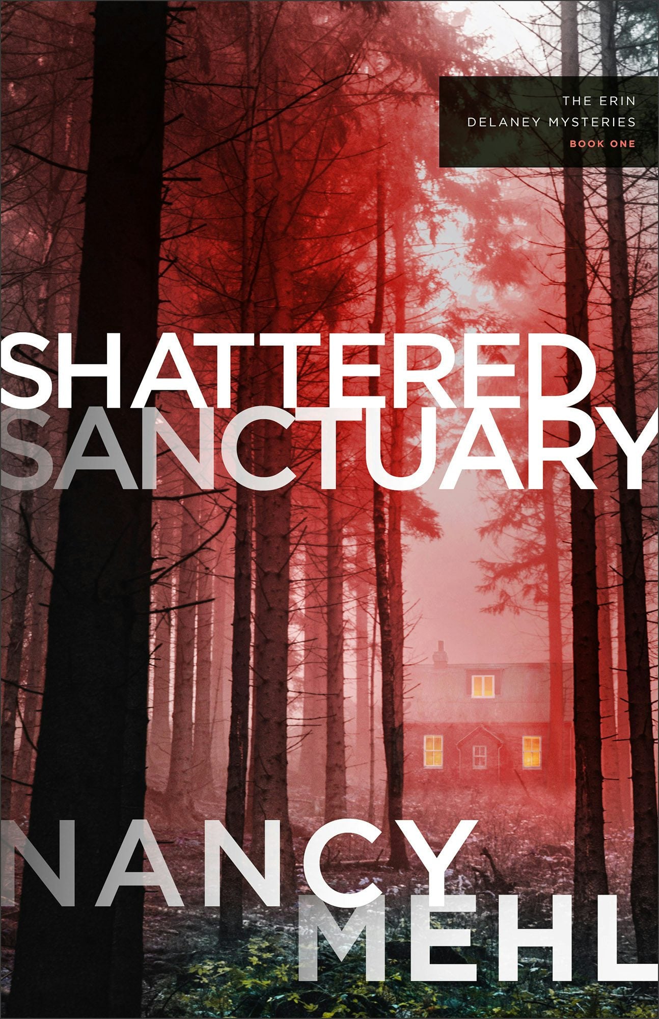 Cover image for Shattered Sanctuary, isbn: 9780764243363