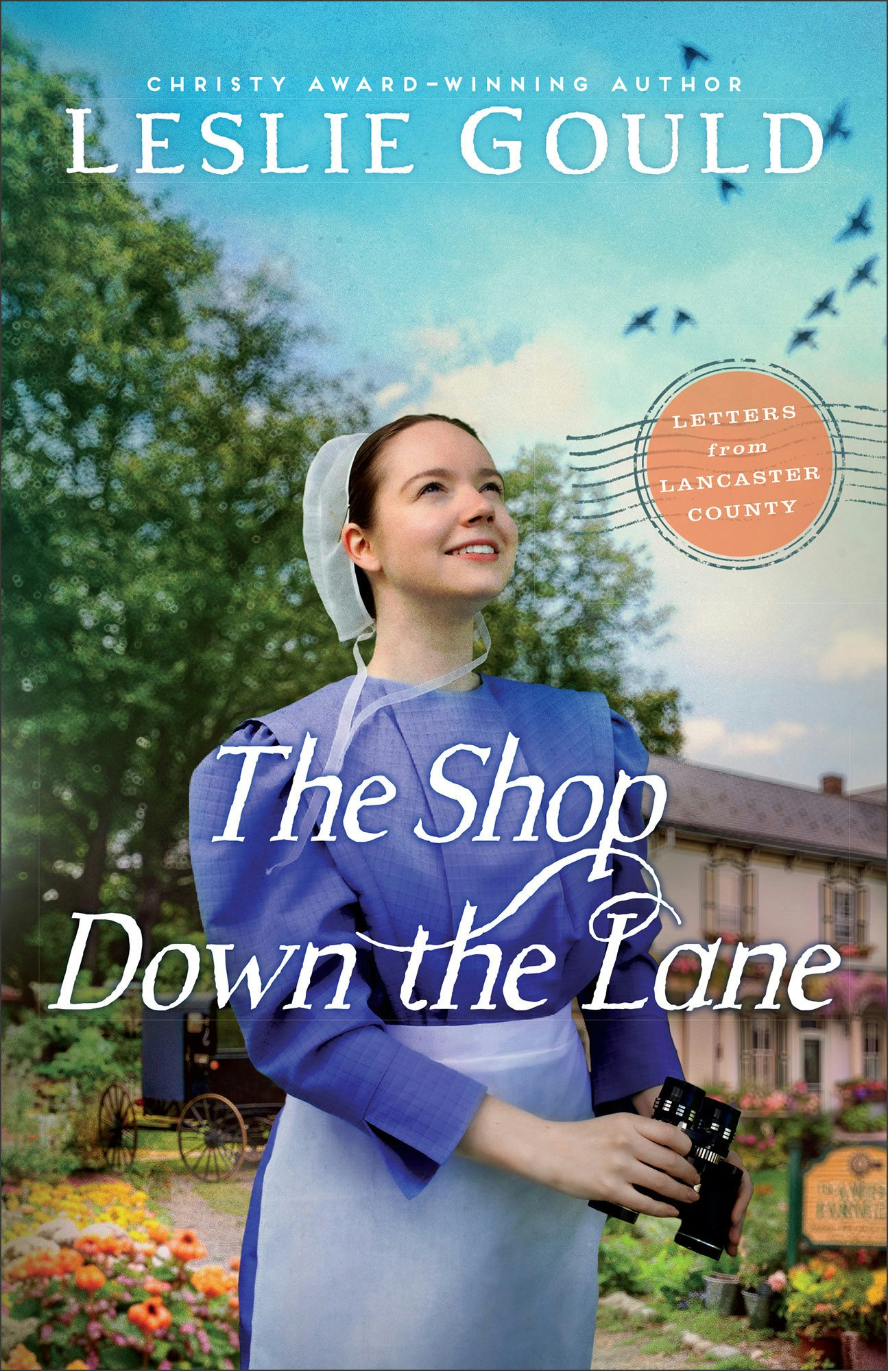 Cover image for The Shop Down the Lane, isbn: 9780764244223