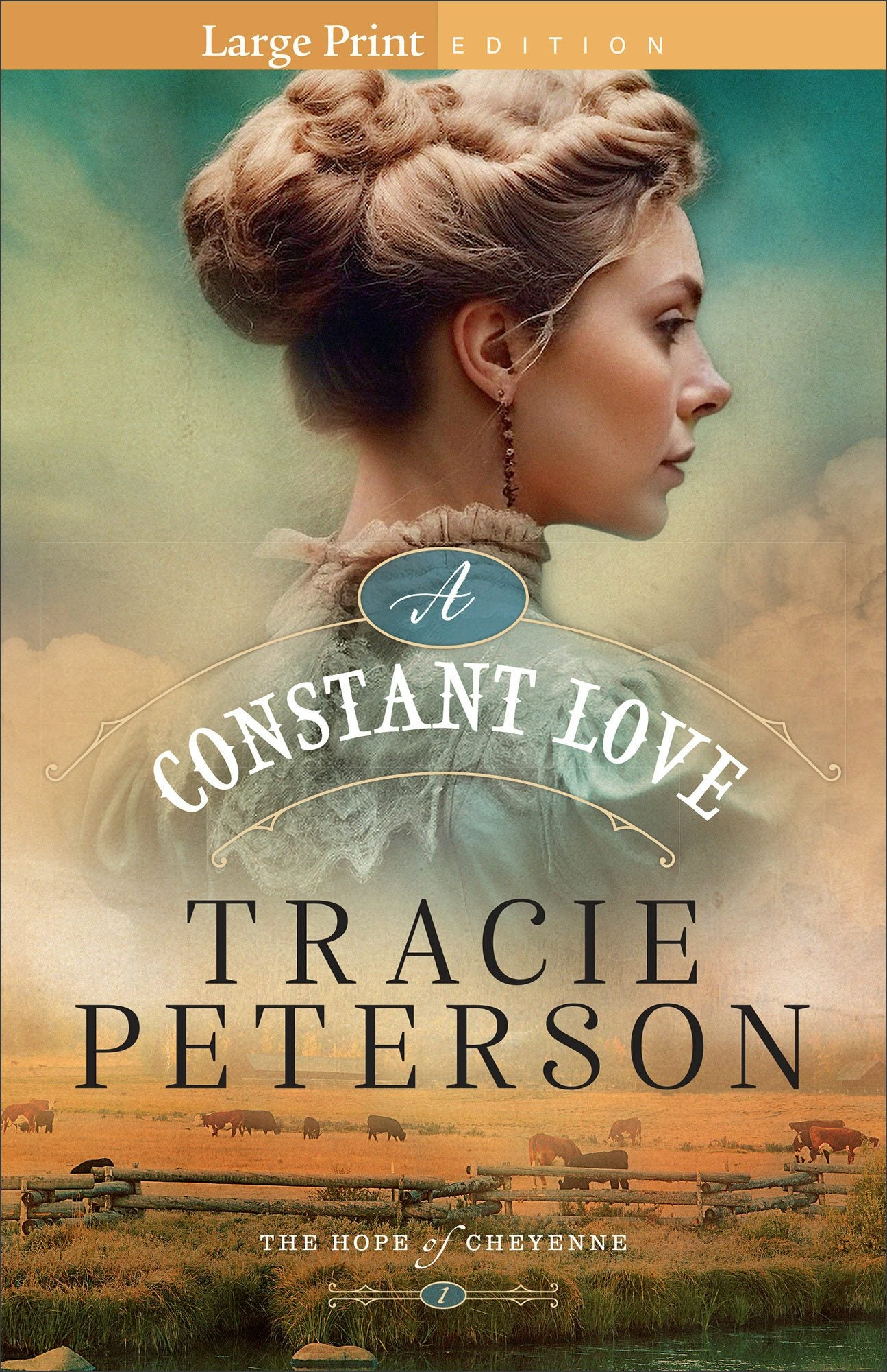 Cover image for A Constant Love, isbn: 9780764244469