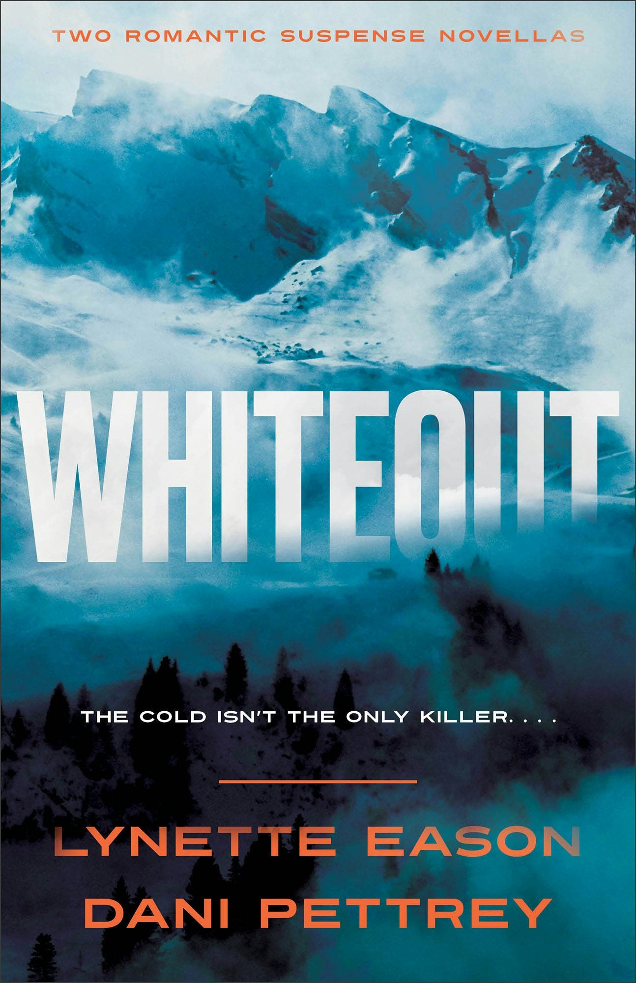 Cover image for Whiteout, isbn: 9780764245978
