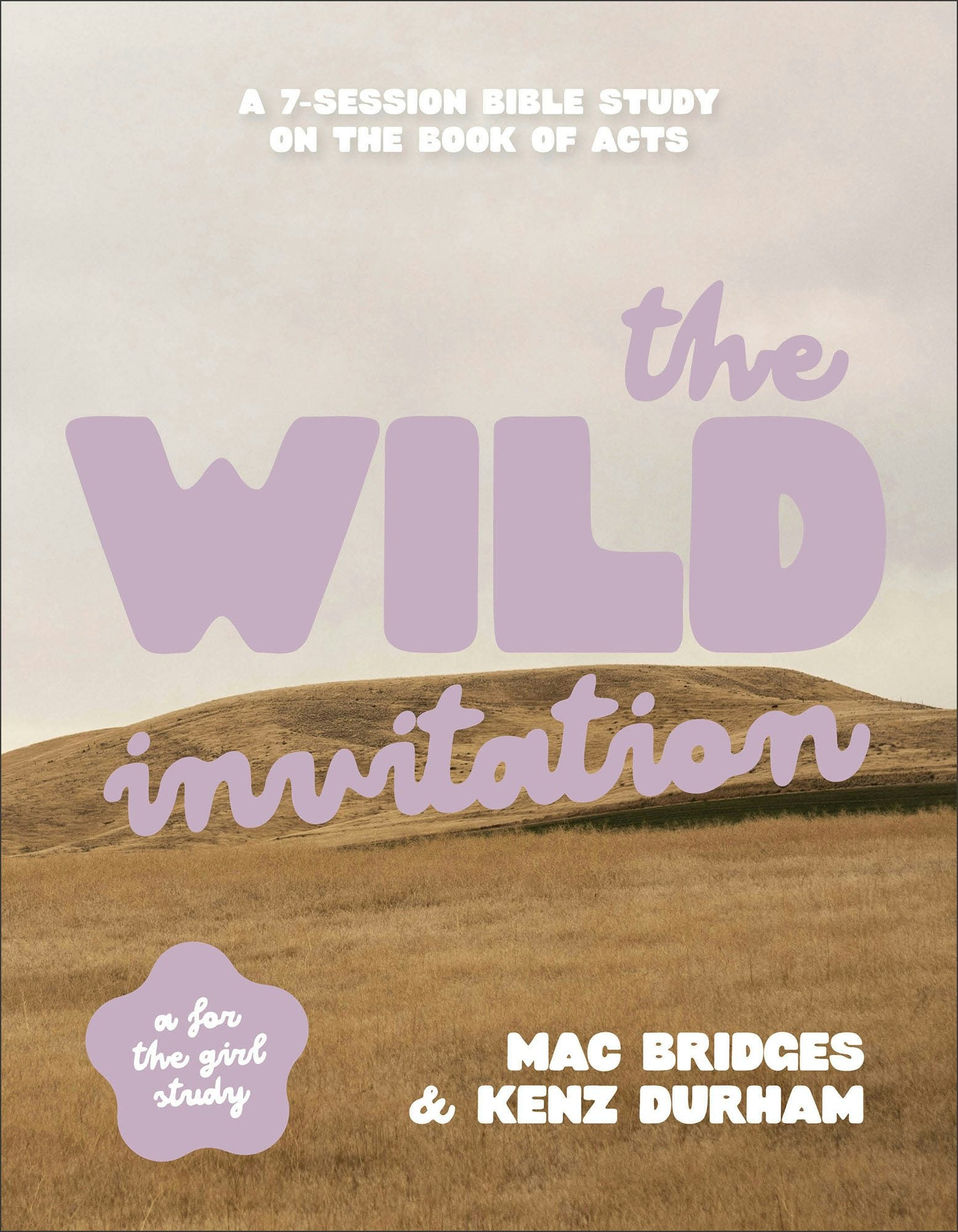 Cover image for The Wild Invitation, isbn: 9780764246289