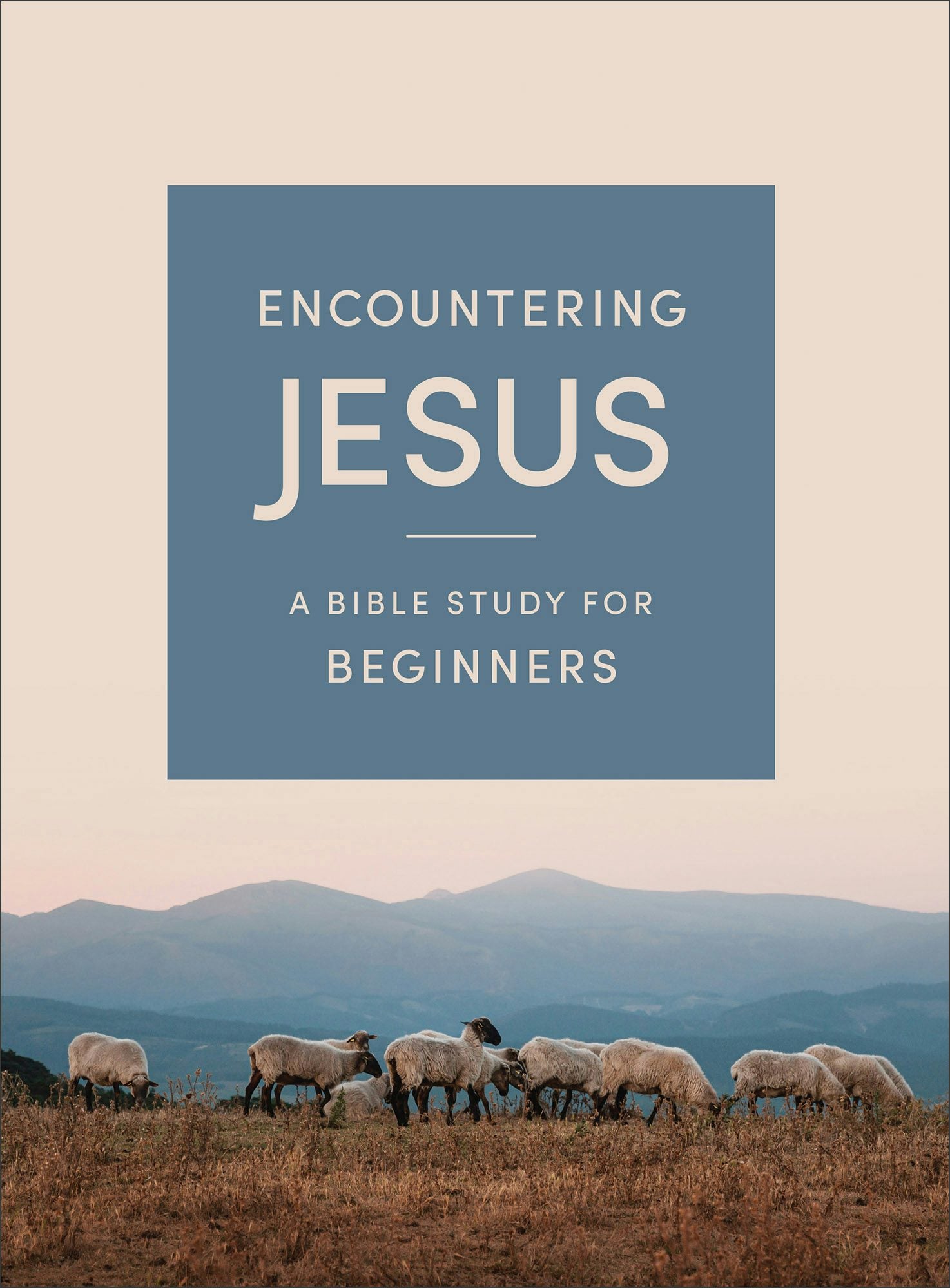 Cover image for Encountering Jesus, isbn: 9780764246555