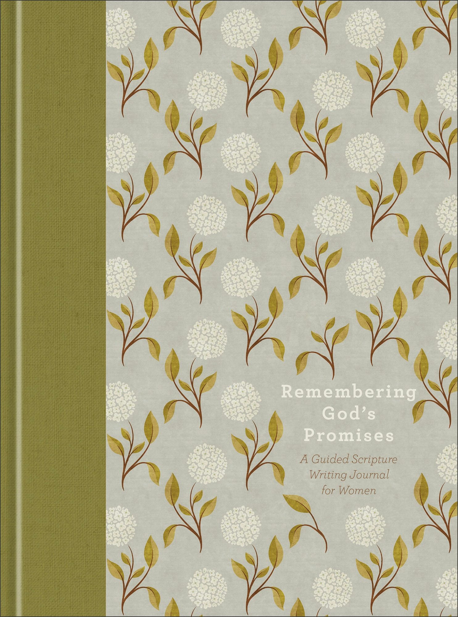 Cover image for Remembering God's Promises, isbn: 9780764246579