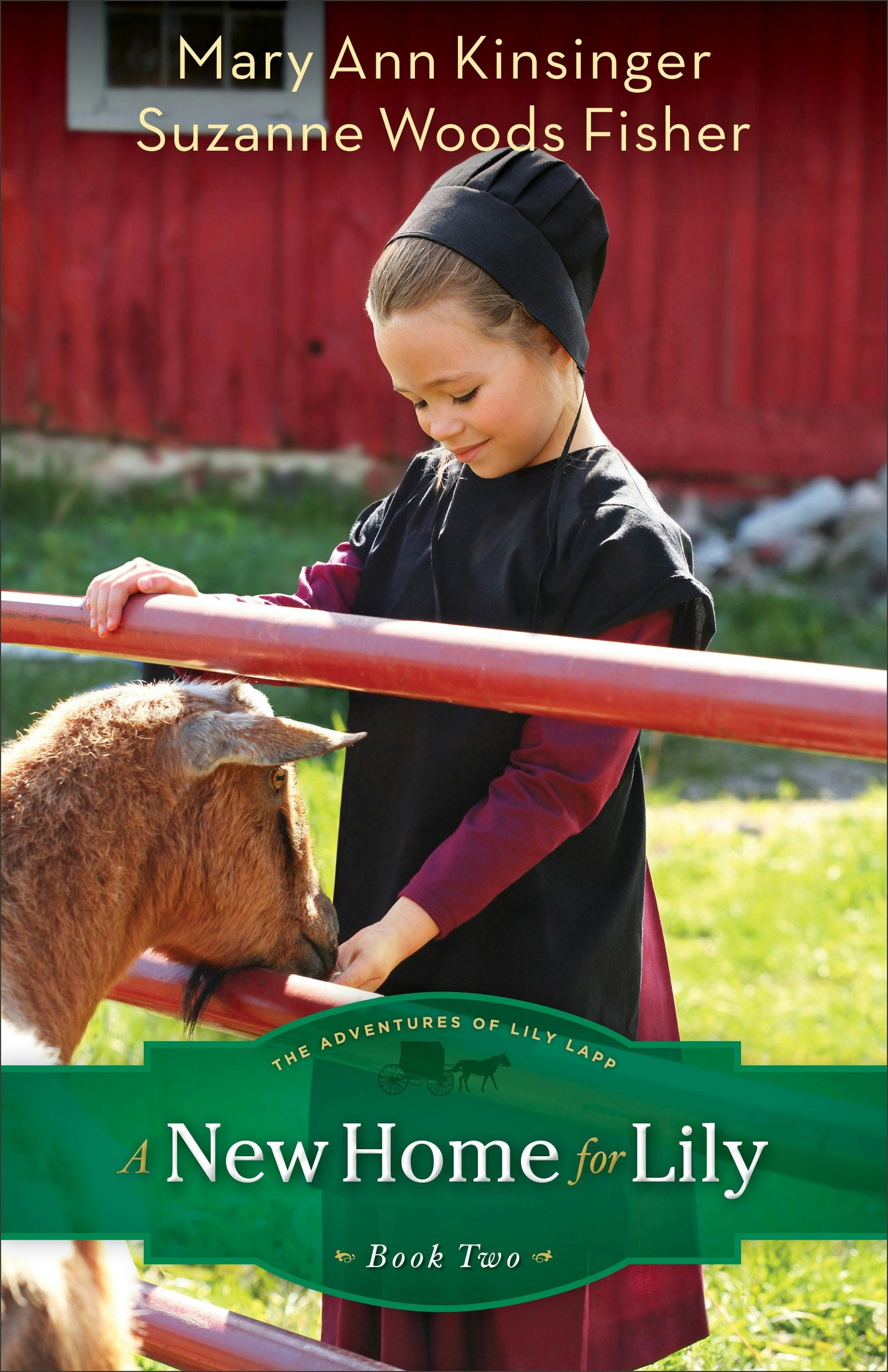Cover image for A New Home for Lily, isbn: 9780800721336
