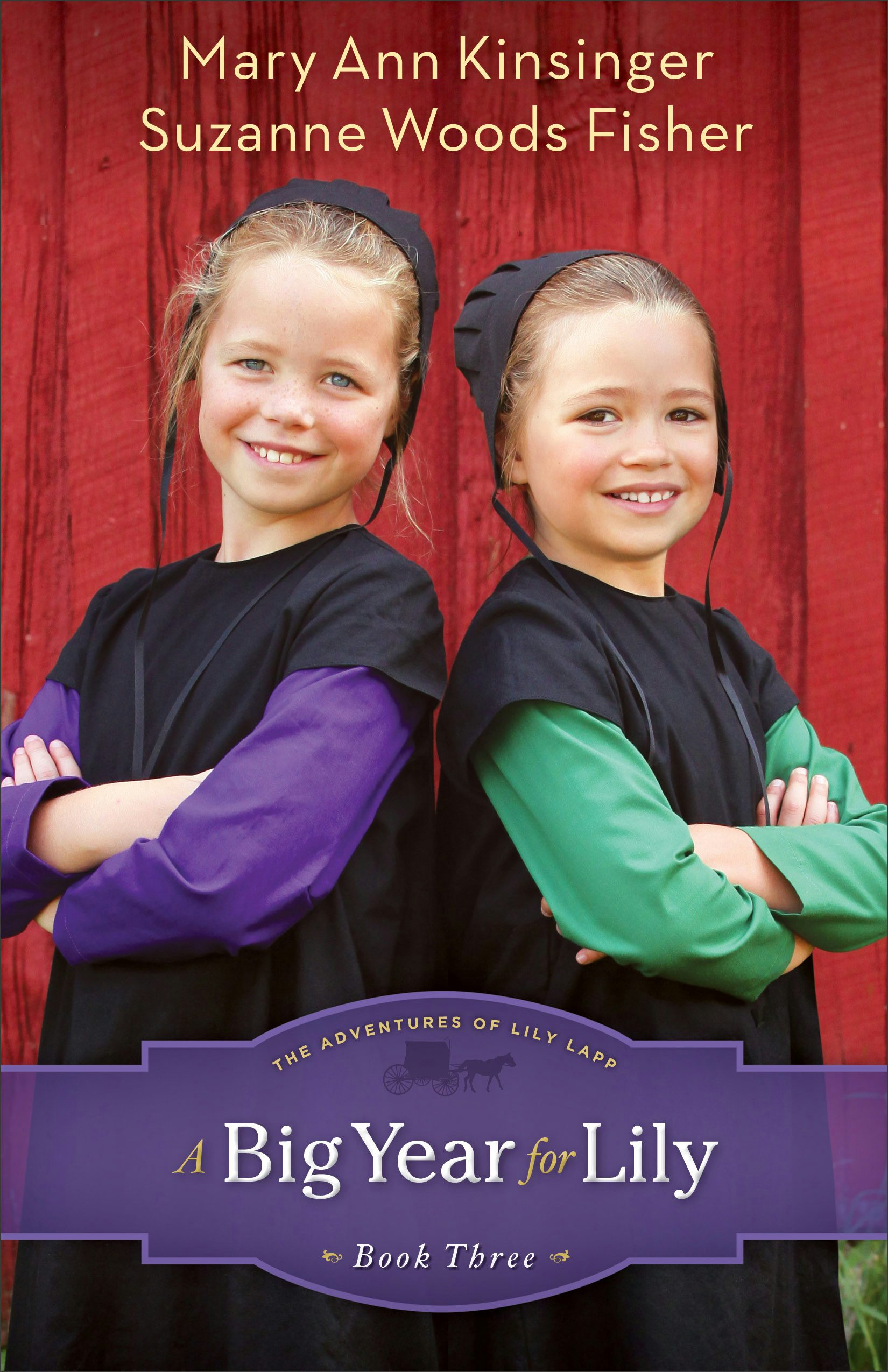 Cover image for A Big Year for Lily, isbn: 9780800721343