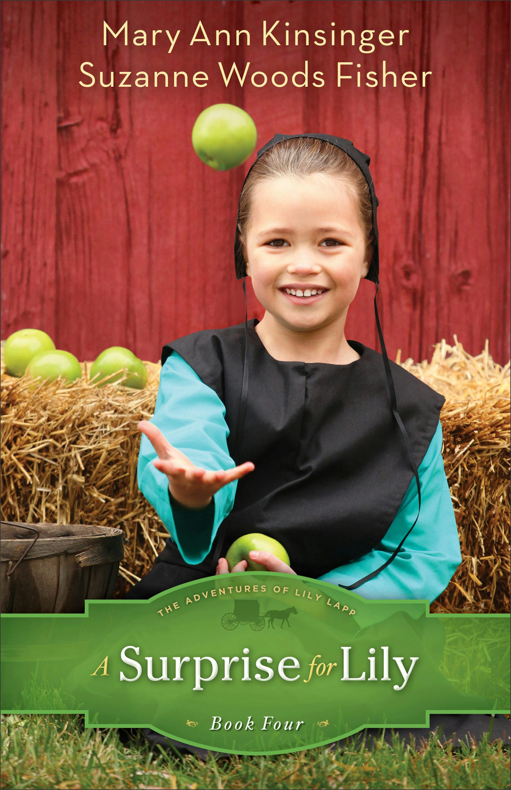 Cover image for A Surprise for Lily, isbn: 9780800721350