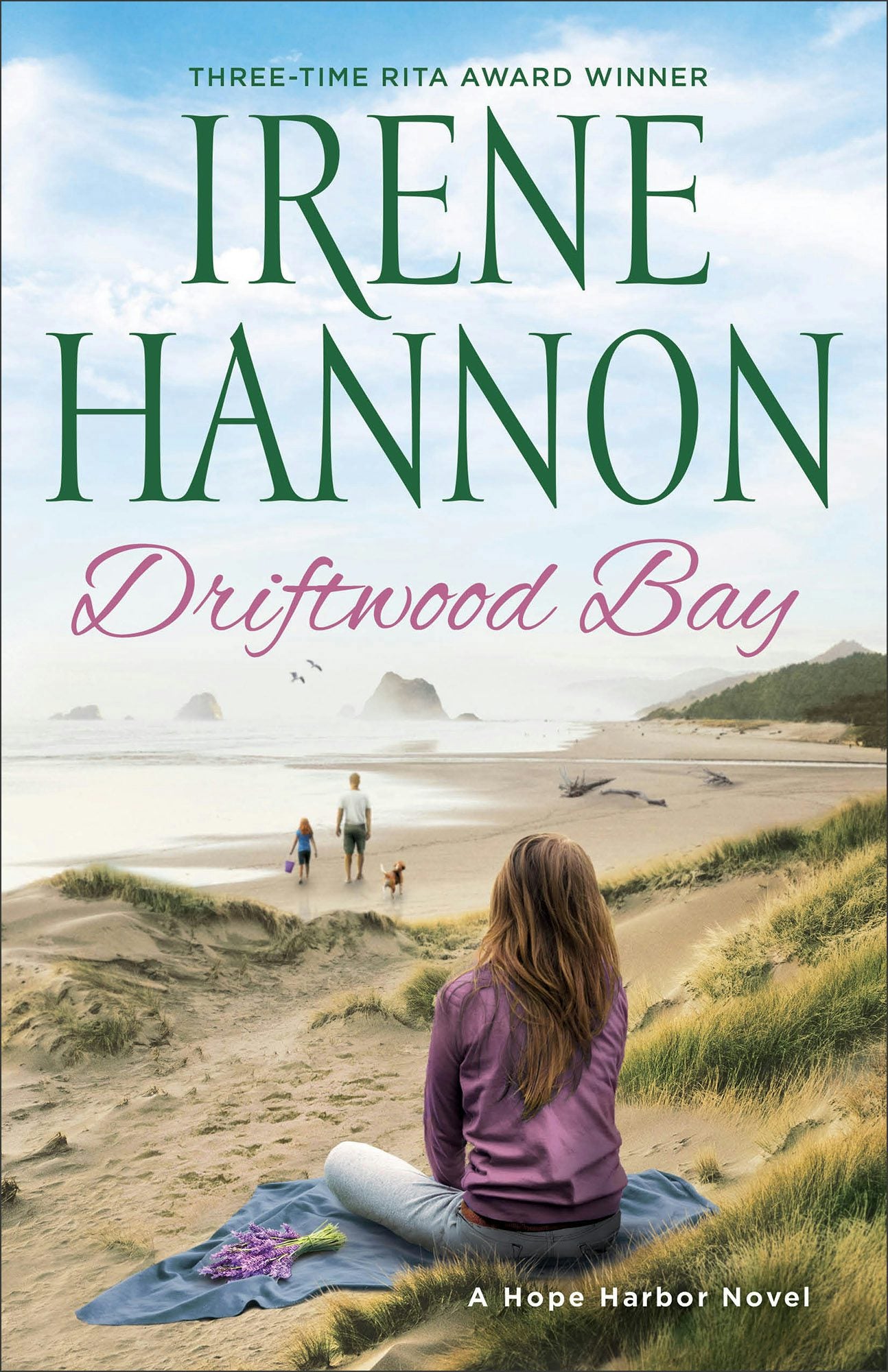 Cover image for Driftwood Bay, isbn: 9780800728816