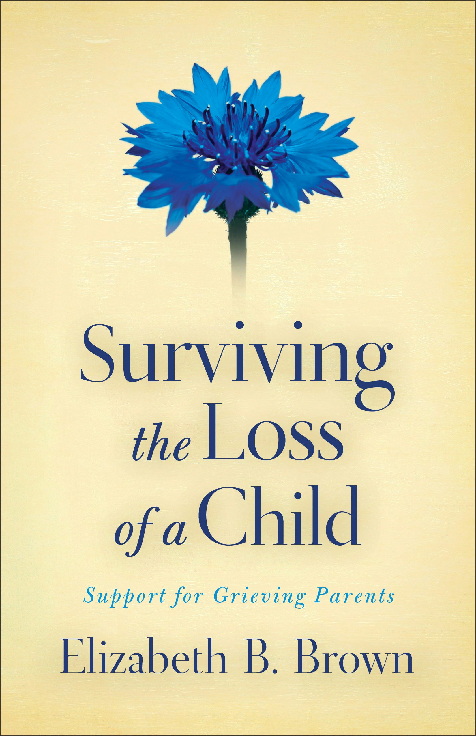 Cover image for Surviving the Loss of a Child, isbn: 9780800733568