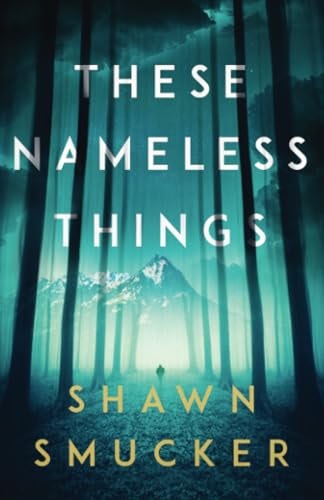 Cover image for These Nameless Things, isbn: 9780800735302