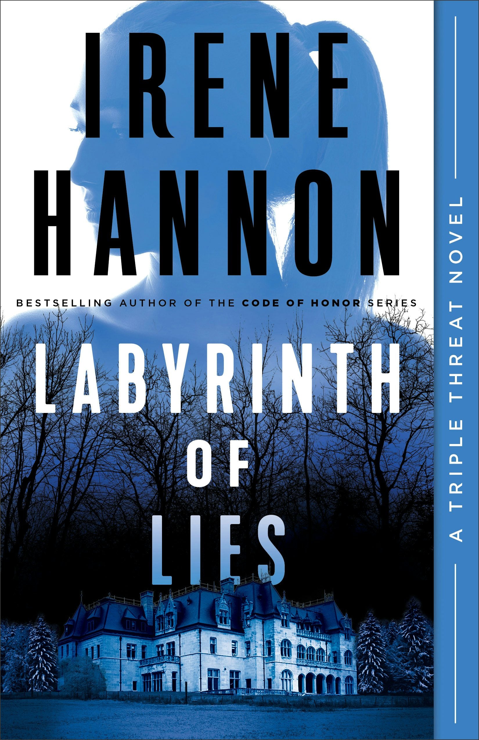 Cover image for Labyrinth of Lies, isbn: 9780800736187