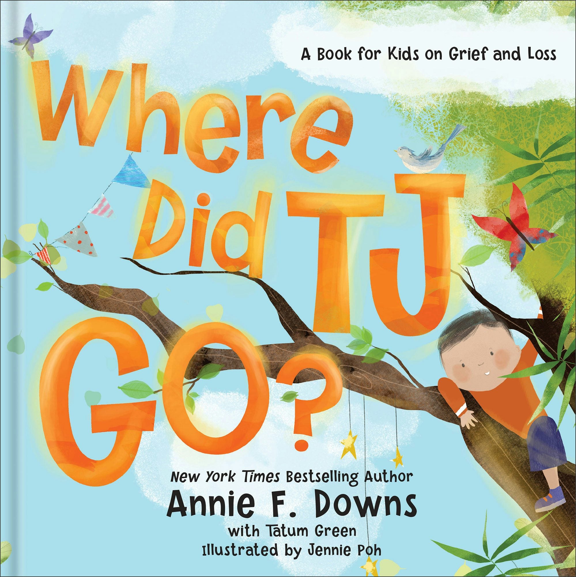 Cover image for Where Did TJ Go?, isbn: 9780800738785